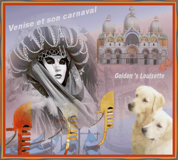 Karnaval, carnaval, golden retriever louisette,venise, blogs , mons, be;psp,